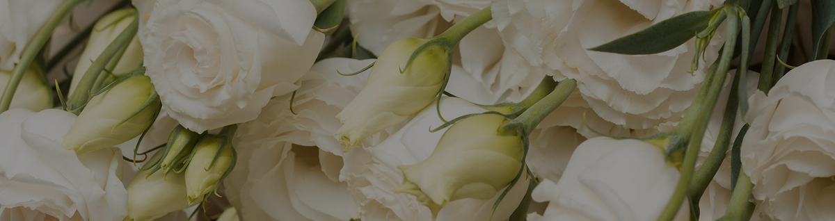 RosenHaus Blumen